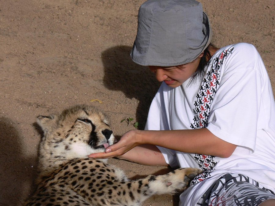 Dr. LIYEUNG Lucci Lugee took care of a cheetah called “Duma” during her volunteer work in Namibia before her study in CU Medicine
